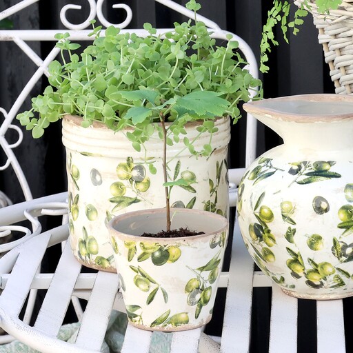 Impressionen zu Chic Antique Übertopf Olive mit Olivenmuster, Bild 1