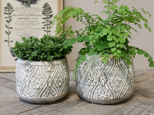 Impressionen zu Chic Antique Vittel Blumentopf mit Gold Muster, Bild 1
