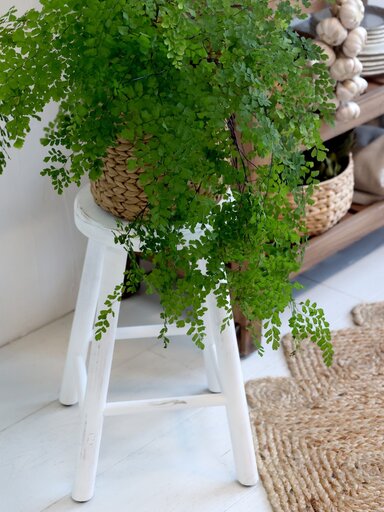 Impressionen zu Chic Antique weißer Deko Hocker, Bild 3
