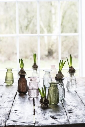 Impressionen zu IB Laursen Hyazinthenvase pebbled Glas, Bild 1