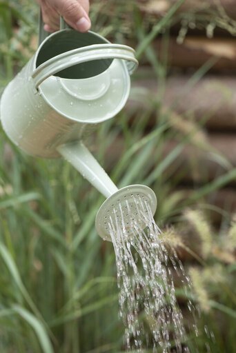 Impressionen zu IB Laursen Gießkanne klein 0,8 ltr, Bild 4