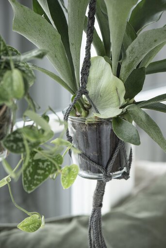 Impressionen zu IB Laursen Glas Topf konisch Hannah, Bild 6