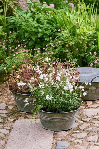 Impressionen zu IB Laursen Pflanzkübel-Set Urban Garden 3-teilig, Bild 1
