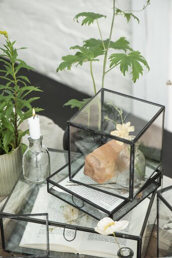 Impressionen zu IB Laursen Längliche Glasbox mit Deckel Solitaire, Bild 7