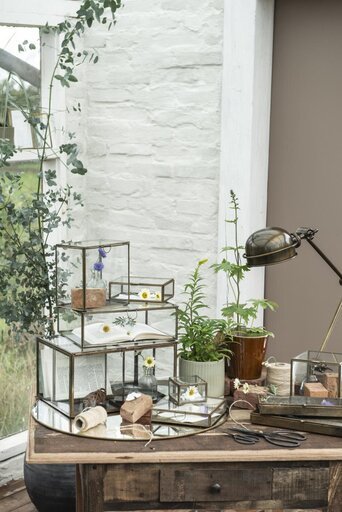 Impressionen zu IB Laursen Längliche Glasbox mit Deckel Solitaire, Bild 1