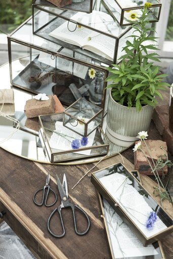 Impressionen zu IB Laursen Längliche Glasbox mit Deckel Solitaire, Bild 2