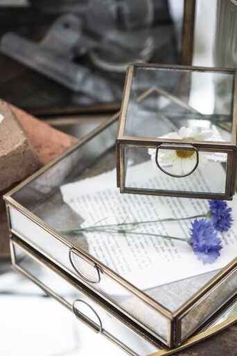 Impressionen zu IB Laursen Längliche Glasbox mit Deckel Solitaire, Bild 3