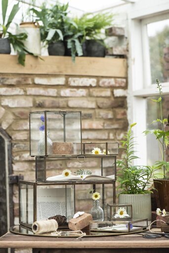 Impressionen zu IB Laursen Längliche Glasbox mit Deckel Solitaire, Bild 6