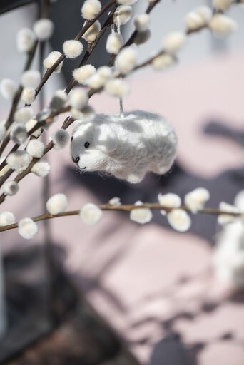 Impressionen zu IB Laursen Osterlamm handgefertigt, Bild 1
