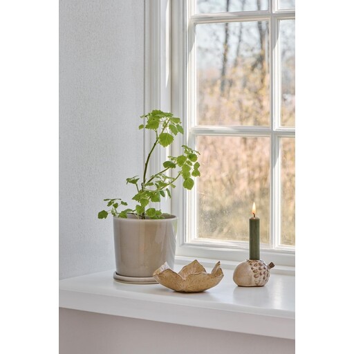 Impressionen zu IB Laursen Blumentopf Saga mit Untersetzer, Bild 2