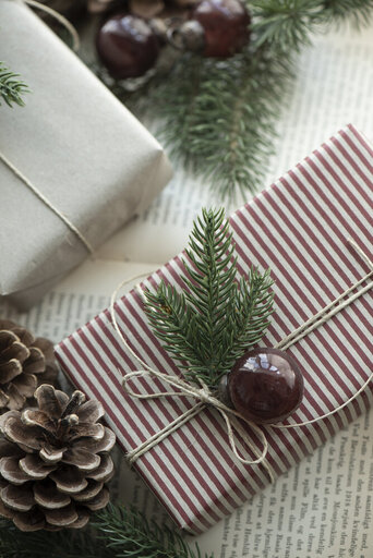 Impressionen zu IB Laursen Tüte mit 8 Weihnachtskugeln mini, Bild 6