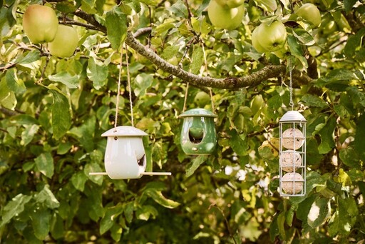 Impressionen zu IB Laursen Vogelfutterspender für Meisenknödel, Bild 1