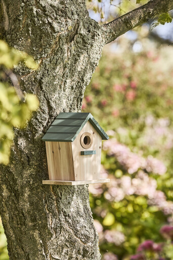 Impressionen zu IB Laursen Vogelhäuschen aus Holz mit Reinigungsklappe, Bild 1