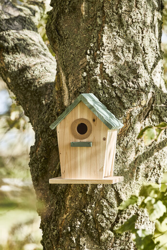 Impressionen zu IB Laursen Vogelhäuschen aus Holz mit Reinigungsklappe, Bild 2