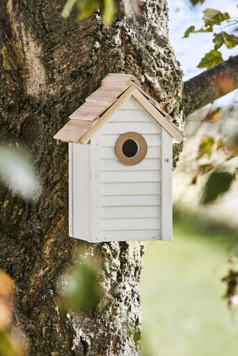 Impressionen zu IB Laursen Vogelhaus aus Holz mit Reinigungsklappe, Bild 1