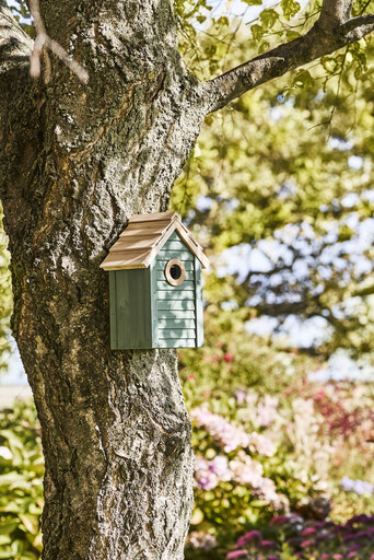 Impressionen zu IB Laursen Vogelhaus aus Holz mit Reinigungsklappe, Bild 3