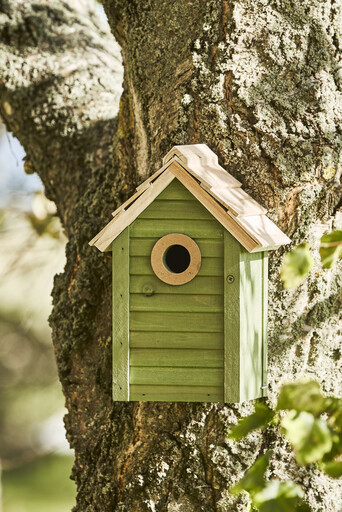 Impressionen zu IB Laursen Vogelhaus aus Holz mit Reinigungsklappe, Bild 4