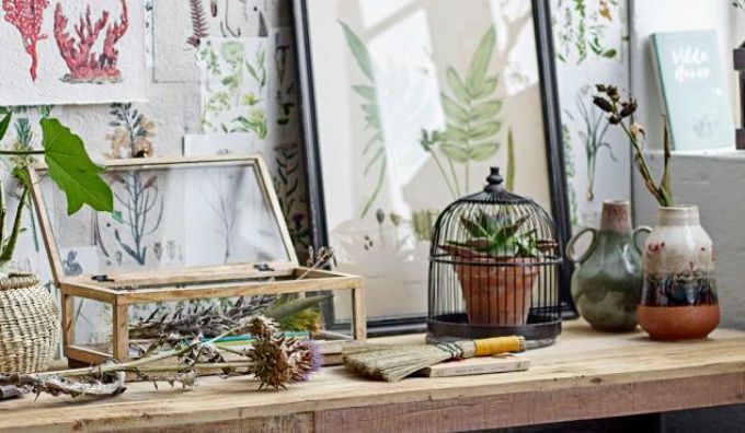 Bloomingville BOTANIST aus der Creative Collection