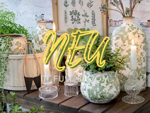 Chic Antique Neuheiten
