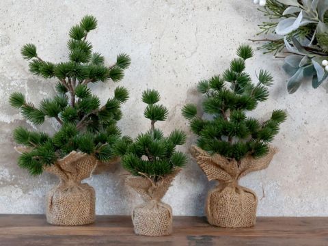 Weihnachtsbäume & Kränze