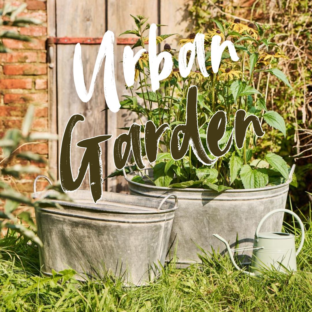 Urban Garden