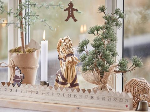 Weihnachtsbäume