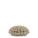 Koralle mit Muscheln für Deko